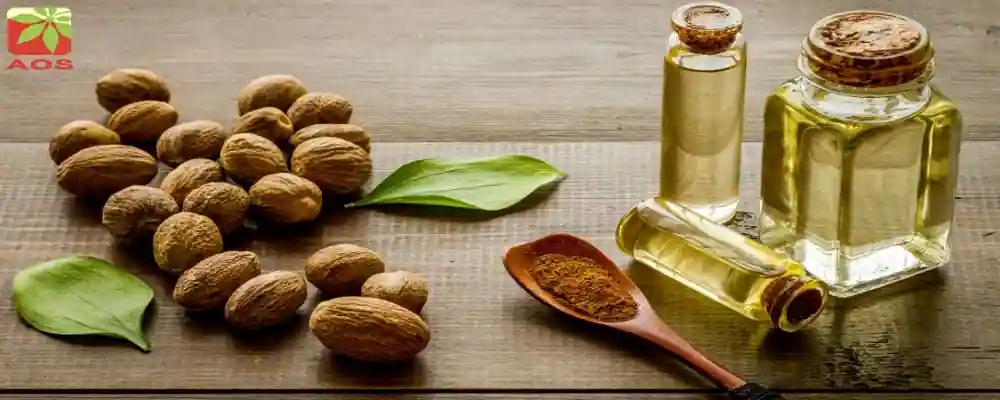 Nutmeg Oil for Toxoplasmosis