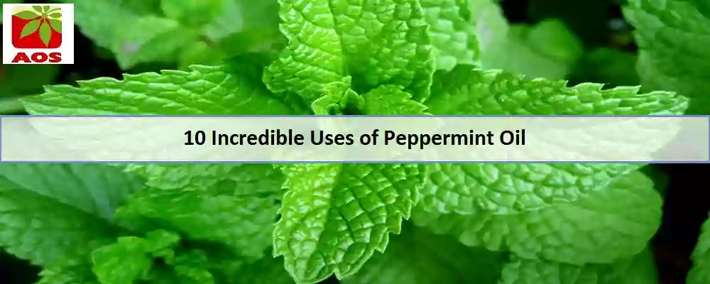 10 Uses for Peppermint Oil