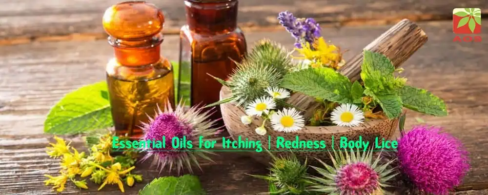 Essential Oils for Itching