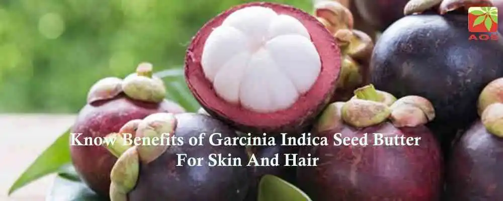 Garcinia Indica Seed Butter for Skin and Hair