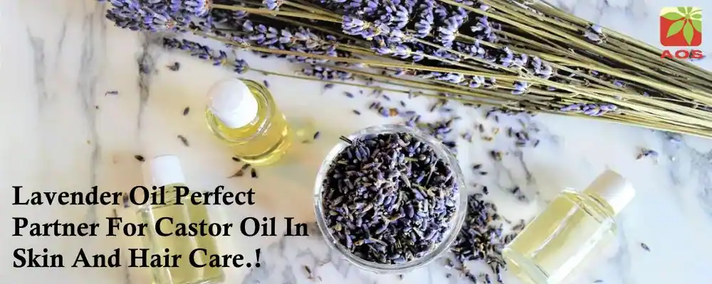 Lavender Oil and Castor Oil