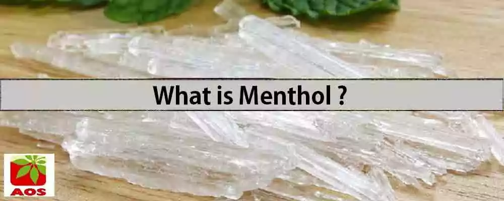 What is Menthol
