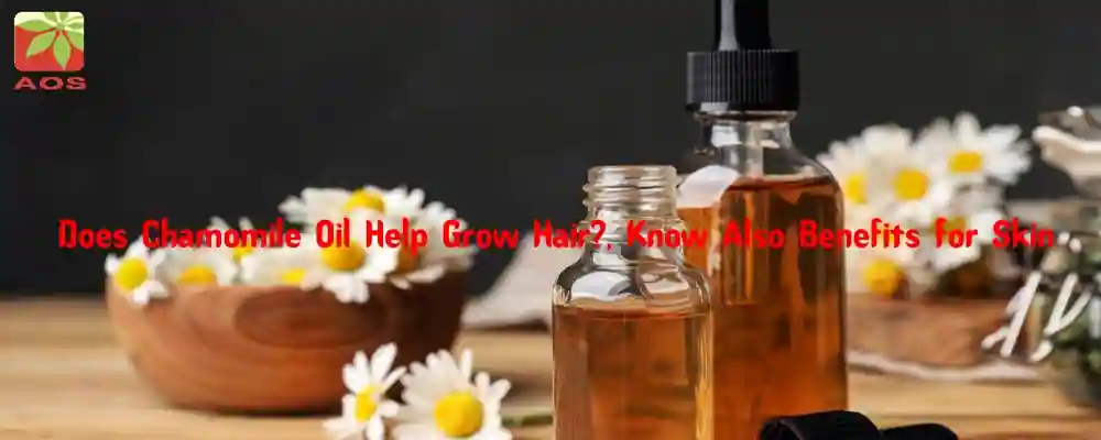 Chamomile Oil Benefits for Skin and Hair