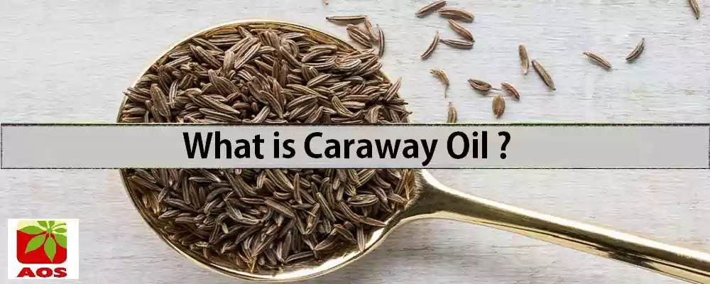 What is Caraway Oil