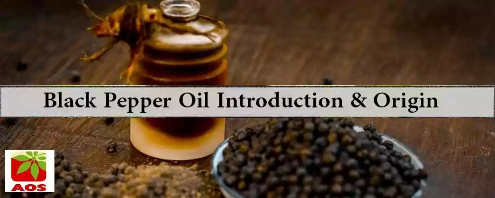 What is Black Pepper Oil