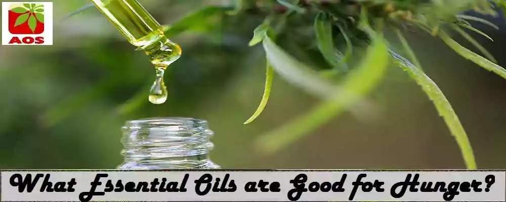 Oils for Anorexia