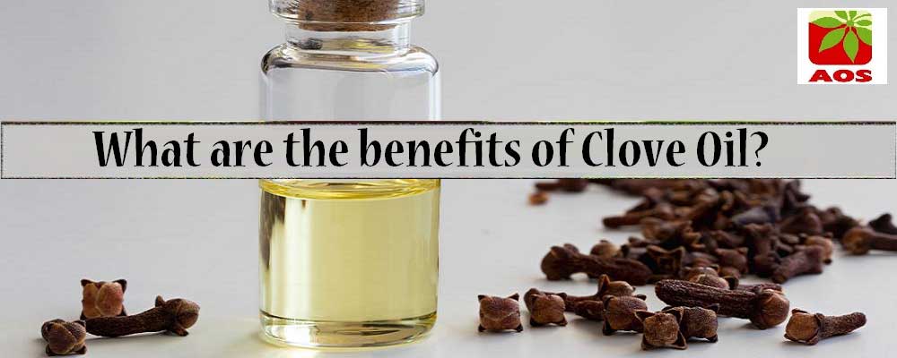 About Clove Oil : Benefits, Side effects & How to Use - AOS blog