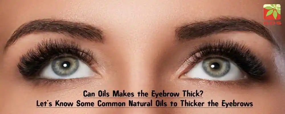 Essential Oils For Eyebrow Growth