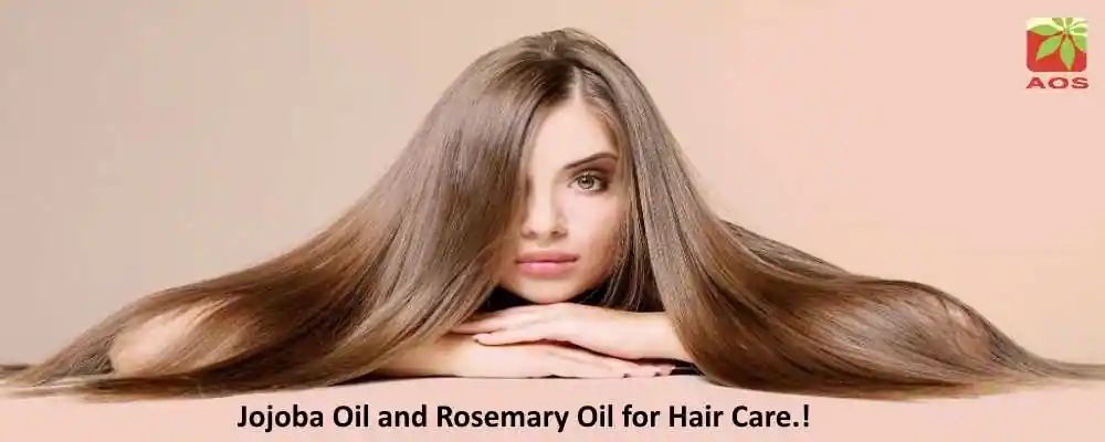 Jojoba Oil and Rosemary Oil for Hair Care