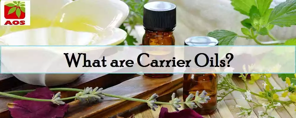 Top Carrier Oils for Hair