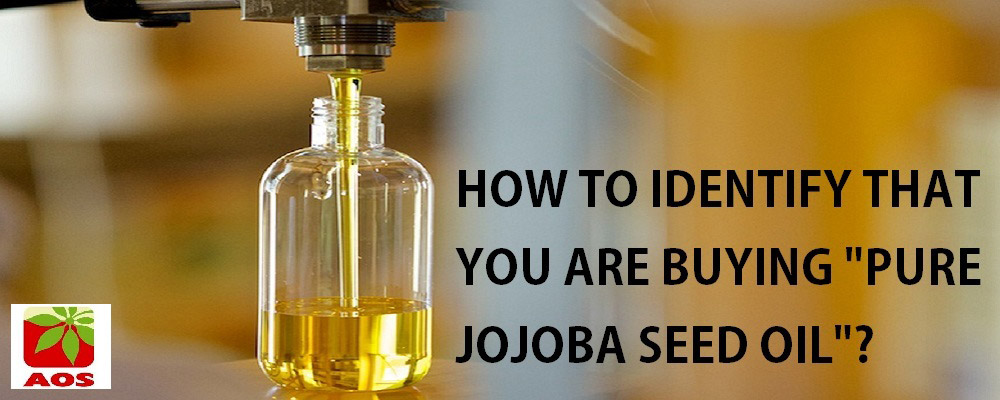 Jojoba Oil Benefits Properties And How To Use Pure Jojoba Oil