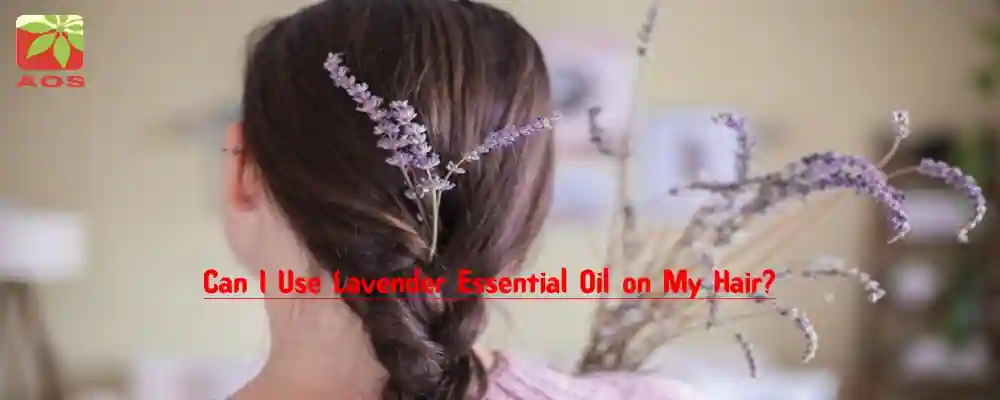 Lavender Essential Oil for Hair