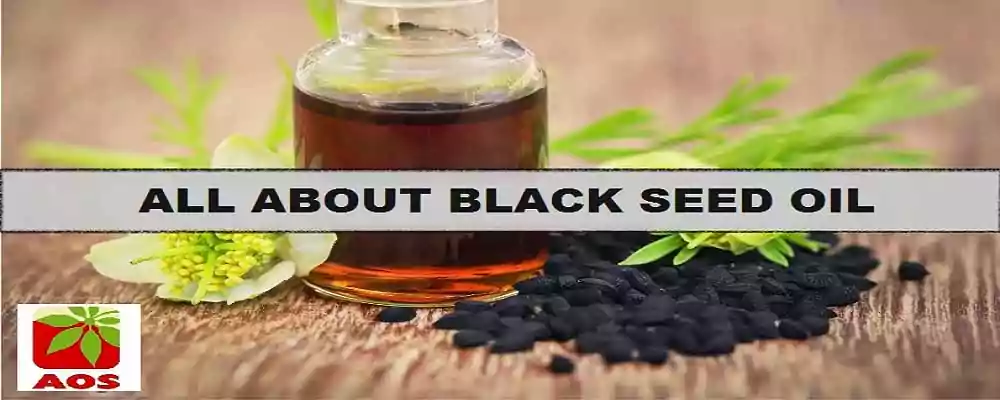 black seed oil where To Buy