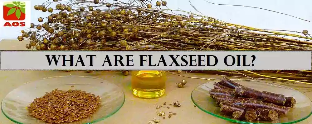 Know About Flaxseed Oil