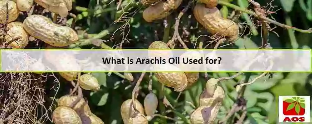 What is Arachis Oil