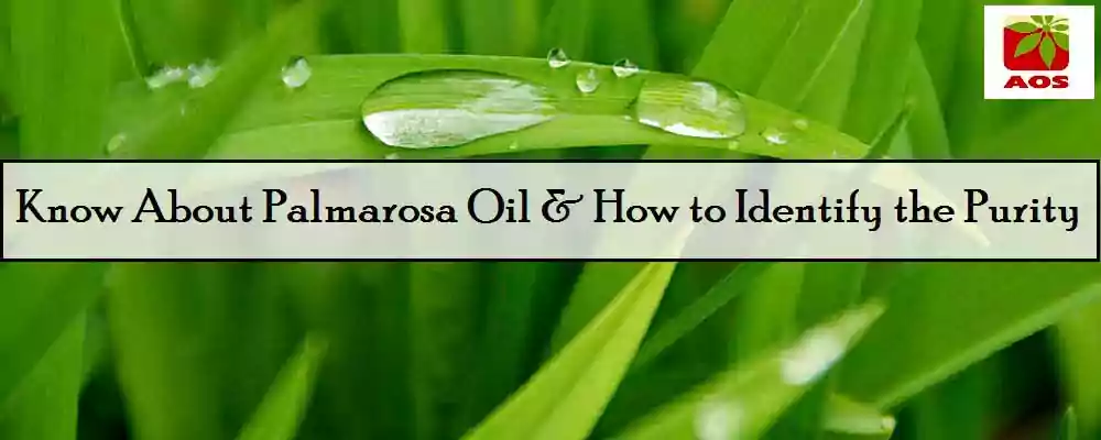 How to Check Purity of Palmarosa Oil