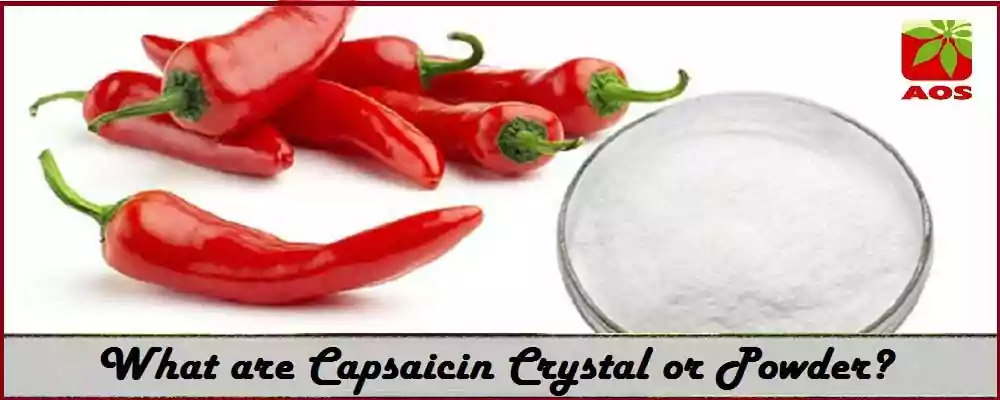 Capsaicin crystals