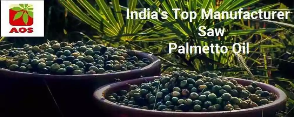 Does Saw Palmetto Oil work on Hair Loss is Myth or Miracle
