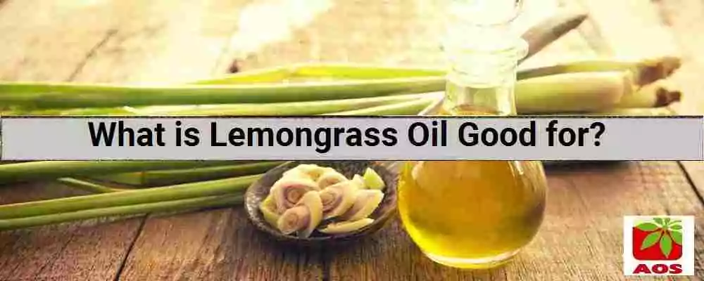 About Lemongrass Oil