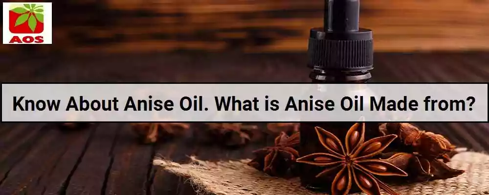 All About Anise Oil