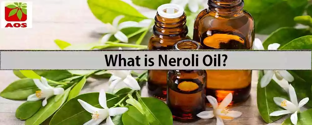 About Neroli Oil