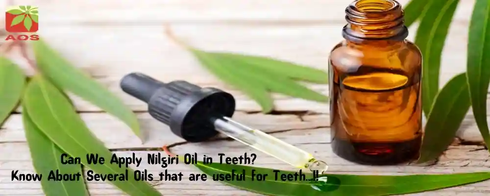 Nilgiri Oil for Teeth