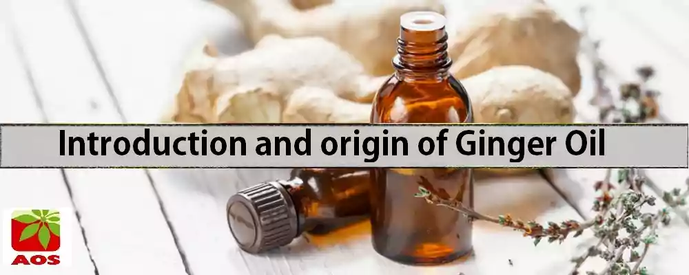 What is Ginger Oil