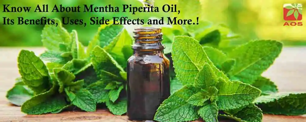 Mentha Piperita Oil