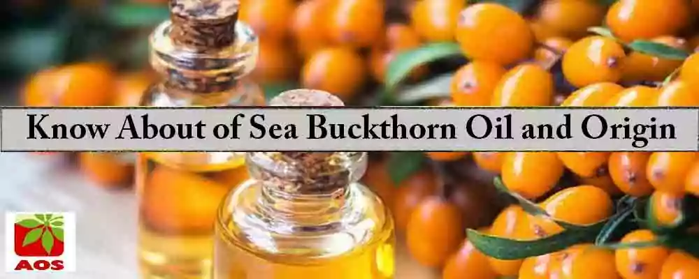 What is Sea Buckthorn Oil