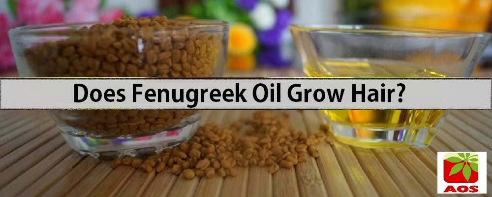 8 Amazing Benefits And Uses Of Fenugreek Oil - Aos Blog