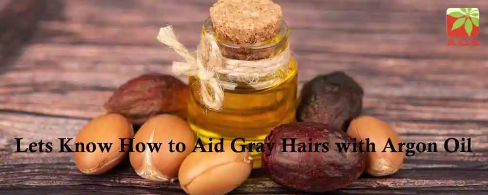 Argan Oil for Hair Gray