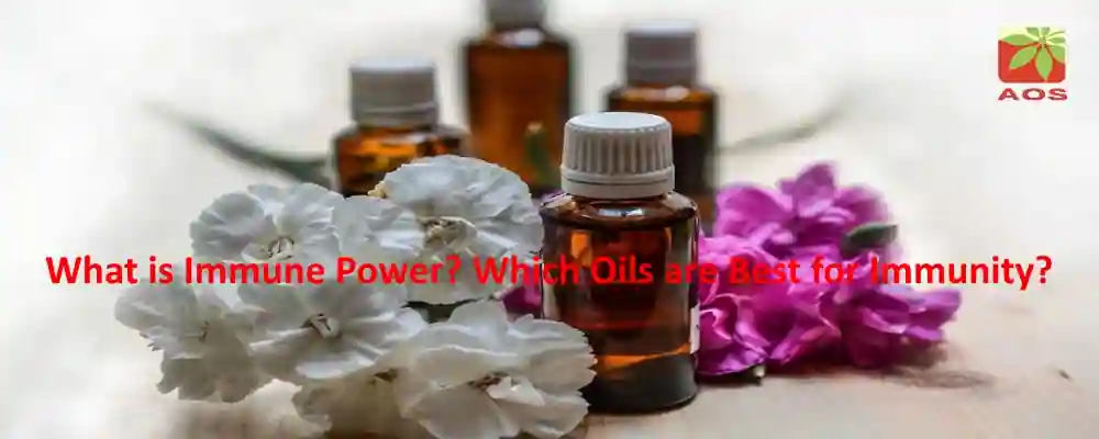 Essential Oils for Immune Health