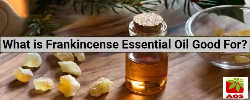 About Frankincense Oil