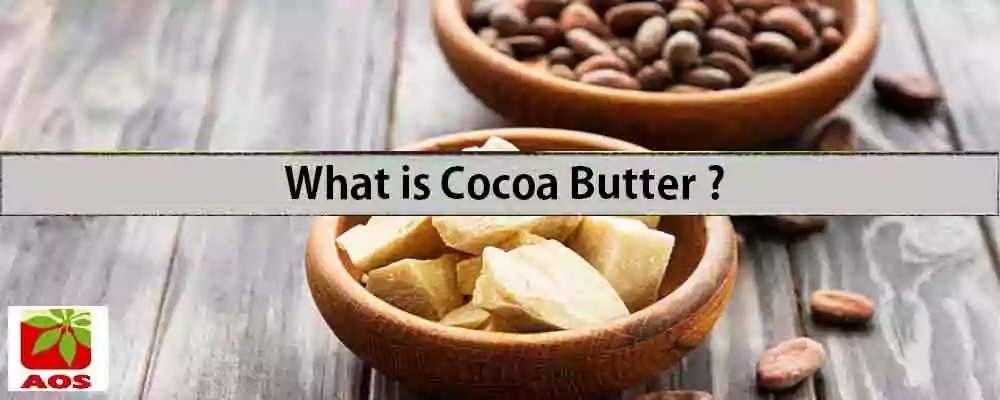 What is Cocoa Butter