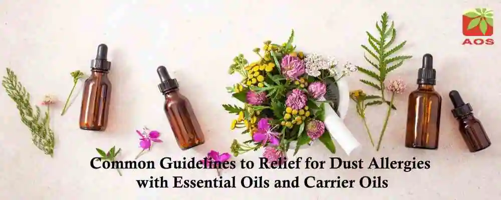 Natural Relief for Dust Allergies with Essential and Carrier Oils