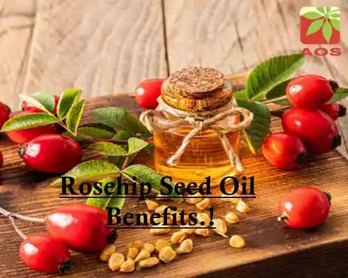 Rosehip Seed Oil Benefits