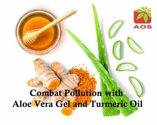 Combat Pollution with Aloe Vera Gel and Turmeric Oil