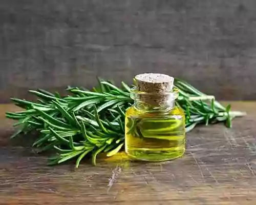 Miracle of Rosemary Oil