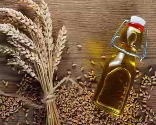 Learn More about Wheat Germ Oil