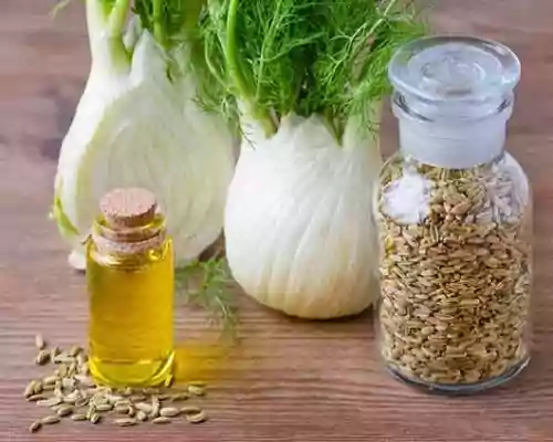 About Fennel Oil