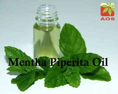 Mentha Piperita Oil