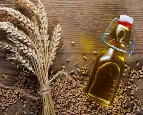 Wheat Germ Oil Benefits