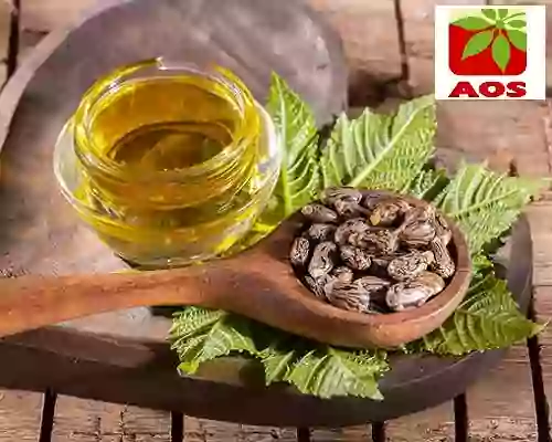 What is Castor Oil
