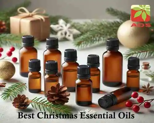 Best Christmas Essential Oils