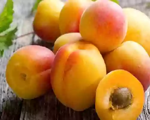 About Apricot Oil