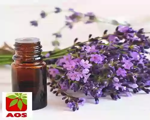 Essential Oils with Anti Aging Properties