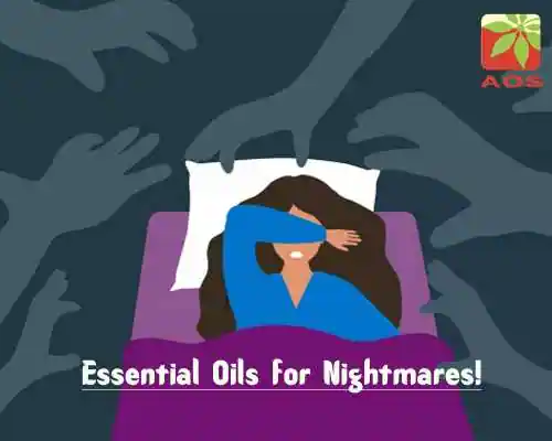 Essential Oils for Nightmares