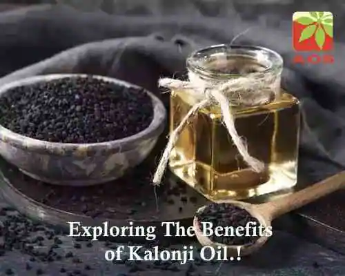 Exploring The Benefits of Kalonji Oil