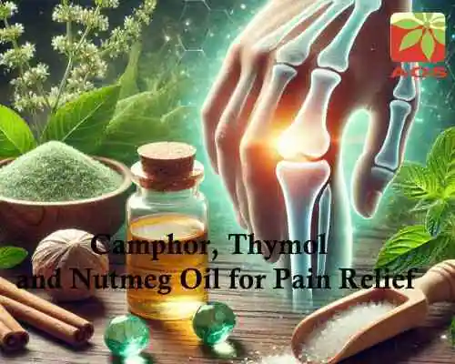 Camphor Thymol and Nutmeg Oil for Natural Pain Relievers