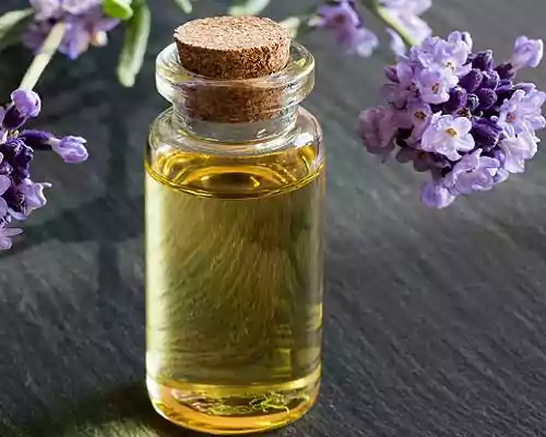 What is Lavender Oil